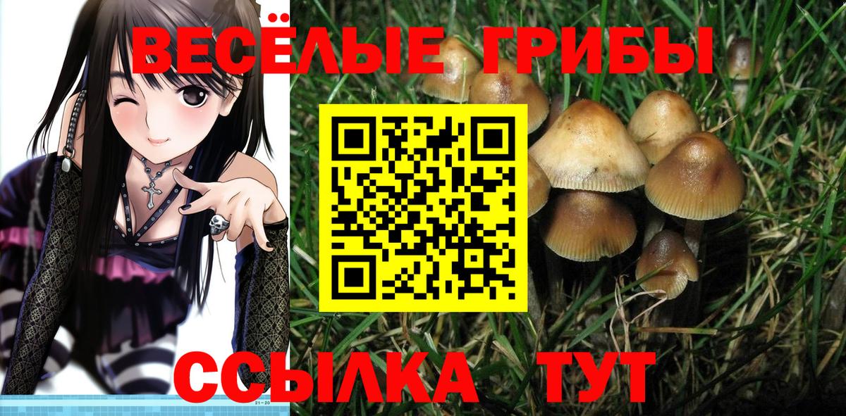 Псилоцибиновые грибы мицелий  Вход с VPN  даркнет сайт  Кириши 