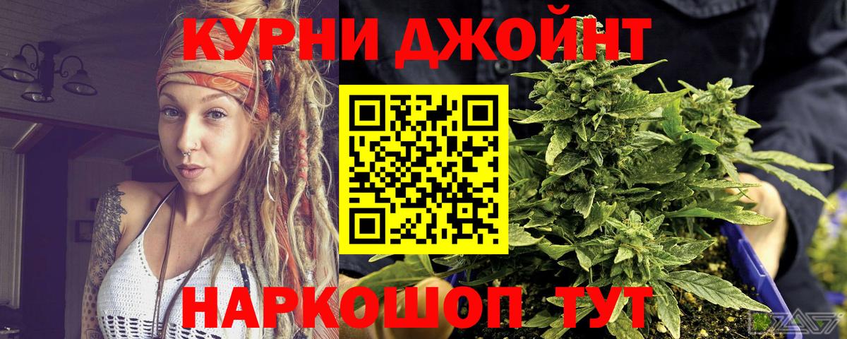 Кириши  Канабис планчик  Канабис VHQ  Вход с VPN 